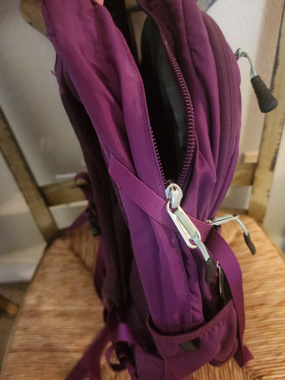 The North Face Purple Backpack - Women's/Unisex